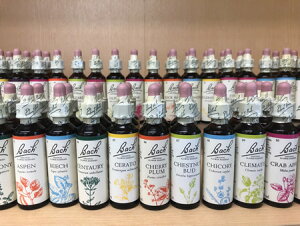 yp20mlzob`t[ fB EW̃AR[ x[X y[֑Iőz38킩炨IтB