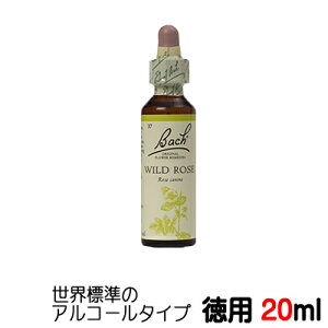 �y���C���h���[�Y�FWild Rose�z�����p20ml�� �o�b�`�t�����[�����f�B ���E�W���̃A���R�[�� �x�[�X�y���K�A���i�z�y���[���֑I���ő��������z�����C�́E���֐S�E�������