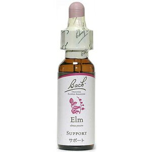 yGziT|[gj10mlOZx[XiAR[sgpjob`t[fBy[֑IőzsƂƎv