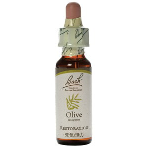 yI[uziCÉj10mlOZx[XiAR[sgpjob`t[fBy[֑Iőz͂NĂ