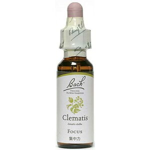 yN}`XziẂj10mlOZx[XiAR[sgpjob`t[fBy[֑Iőznɑ悤ɂȂAW