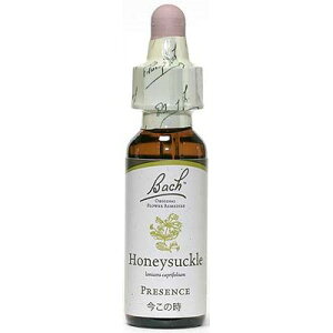 ynj[TbNi̎jzi̎j10mlOZx[XiAR[sgpjob`t[fBy[֑Iőzߋς萴Z