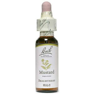 y}X^[hzi邳j10mlOZx[XiAR[sgpjob`t[fBy[֑IőzRȂJŗގ