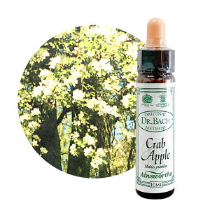 �N���u�A�b�v���@Crab Apple�@10ml �y�p��������p�B�z�G�C���Y���[�X �o�b�`�t�����[�G�b�Z���X�y���K�A���i�z�y���[���֑I���ő��������z ����̂܂܂̎������󂯓����