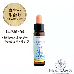 �y�쐶�̐����� 1:360�z�`�F�X�g�i�b�g�o�b�h�@Chestnut Bud 10ml �q�[�����O�n�[�u�X �o�b�`�t�����[ �p���� ���K�A���i �A���̐U�������̂܂܃{�g�����O [�����������Ȃ��A������������] ���[