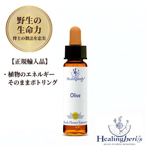 �y�쐶�̐����� 1:360�z�I���[�u�@Olive�@10ml �q�[�����O�n�[�u�X �o�b�`�t�����[ �p���� ���K�A���i �A���̐U�������̂܂܃{�g�����O �y���͂��N���Ă���z ���[���֑I���ő�������