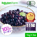 【10%OFFクーポン！6/11 1:59まで】有機JAS認証 冷凍ブルーベリー ワイルドブルーベリー 3kg（1kg×3袋） 大容量 お徳…