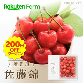 【発送中】”佐藤錦”北海道産さくらんぼ【贈答用】500g・1kgバラ詰め｜熨斗対応可能｜6月下旬〜7月中旬頃発送予定｜大橋さくらんぼ園　楽天ファームこだわり農家直送｜7月おすすめ