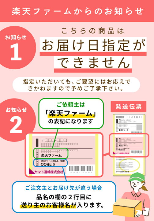 楽天市場 高知から産地直送 農薬不使用の国産生姜 500g 生きている生姜 だからえぐみがない 長期保存可能 お子様も食べやすい 潮と空農園 こだわり農家直送 楽天ファーム