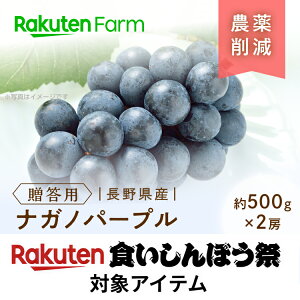 yz쌧{sYiKmp[v(p/500g×2[) 9{`11{͂\聚 ȂE炲ƐHׂ鍕Ԃǂ̎G[X ܔ_@yVt@[_
