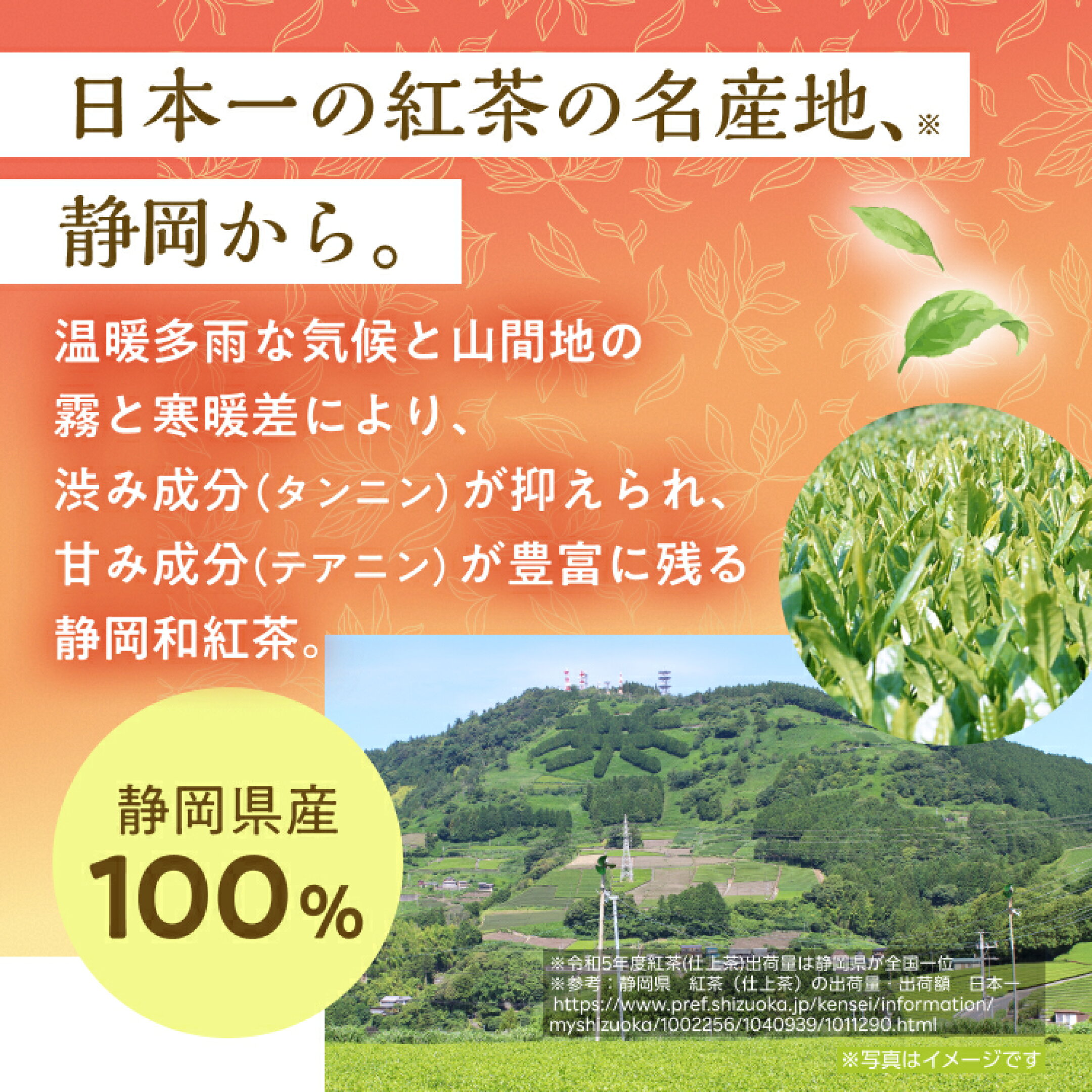 静岡県産100%の和紅茶。