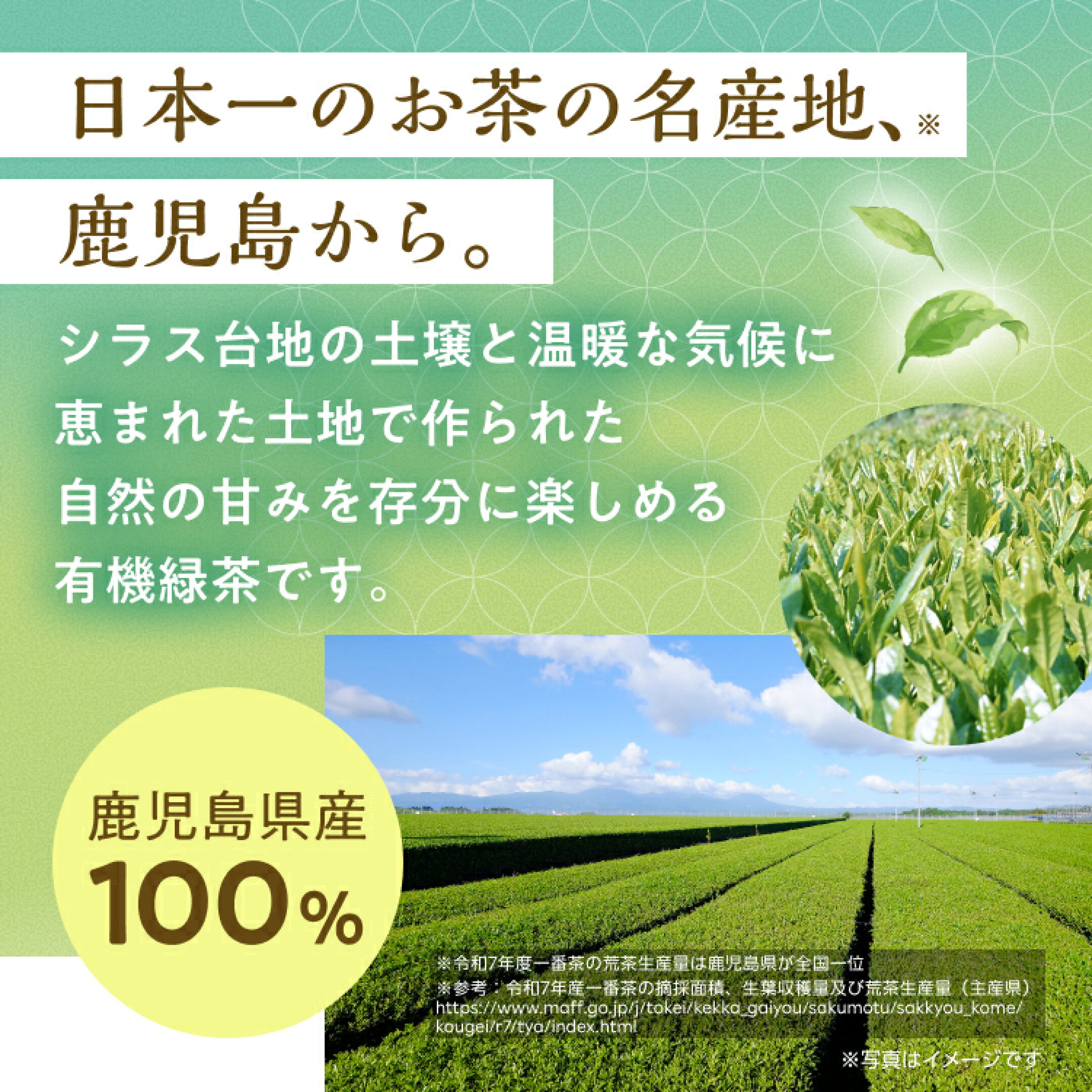 日本一のお茶の名産地、鹿児島から。