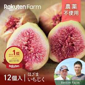 【ポイント3倍！8/11 1:59まで】発送中！農薬80％削減”はざまいちじく” ★8月上旬〜10月下旬頃お届け予定★1か月以内に発送 完熟糖度20度を記録！香川の若手農家チームが引き継いだ伝統のイチジク こだわり農家直送　Bettim Farm