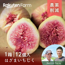【予約】農薬80％削減”はざまいちじく” 1箱12個入｜8月上旬〜10月下旬頃発送予定・ご注文後1か月以内を目安に発送｜香川県産いちじく・蓬莱柿｜Bettim Farm(ベッティムファーム)　楽天ファームこだわり農家直送