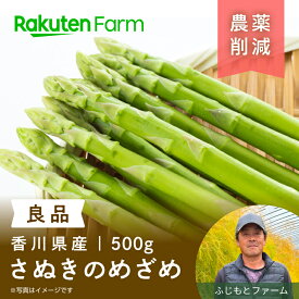 【予約】香川県産アスパラガス”さぬきのめざめ”約500g(家庭用・春芽)｜3月上旬～6月上旬頃お届け予定｜たっぷり食べたいMサイズ・食べ応えがあるLサイズから選べる｜ふじもとファーム　楽天ファームこだわり農家直送