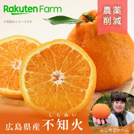 【受付終了】農薬50％削減の広島県産不知火(しらぬい) 約2kg/4kgから選べる ★2月下旬～4月上旬頃お届け予定★ 防腐剤・ワックス不使用　マイルドな酸味と甘みのベストバランス ふじやファーム　楽天ファームこだわり農家直送