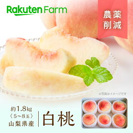 【受付終了】農薬使用量85％削減の山梨県産白桃 約1.8kg(5〜8玉) ★7月上旬〜8月中旬頃お届け予定★除草剤・化学肥料不使用の”濃い味”贈答用・お中元 楽天ファームこだわり農家直送　フルヤ農園
