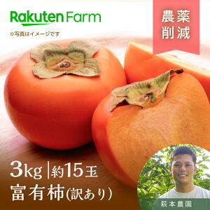 y\zޗǌǵh󂠂hxL` 3kg(ƒp/15ʑO) b2025N11/25`12/5\b{_@yVt@[_ƒ