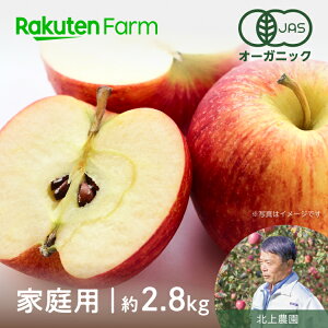 yzXYL@ 2.8kg(ƒp/8`12ʒx) b9{`11{͂\bk_@yVt@[_ƒ