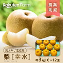 【予約】長野県須坂の”訳あり”幸水 約3kg(家庭用/6〜12玉程度) ★8月下旬〜9月中旬頃お届け予定★ こやま農園　楽天…