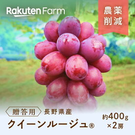 【予約】長野県須坂市産クイーンルージュ?(贈答用/約400g×2房) ★9月下旬〜11月上旬頃お届け予定★ 種なし・皮ごと食べられる赤いシャインマスカット こやま農園　楽天ファームこだわり農家直送