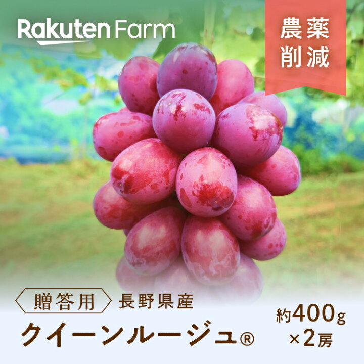 楽天市場】【受付終了】長野県須坂市産クイーンルージュ®(贈答用/約  