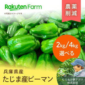 【受付終了】兵庫県産肉厚ピーマン 約2kgまたは4kgから選べる｜6月下旬～11月上旬頃お届け予定｜むらおか夢アグリ株式会社　楽天ファームこだわり農家直送