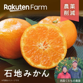 【予約】香川県産石地みかん約2.5kgまたは4kgから選べる｜1月上旬～下旬頃お届け予定｜※熨斗はおつけできません※｜西森くだもの農園　楽天ファームこだわり農家直送