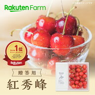 【発送中】”紅秀峰”北海道産さくらんぼ【贈答用】500g・1kgバラ詰め｜7月上旬〜下旬頃発送予定｜大橋さ…