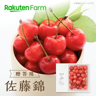 【発送中】”佐藤錦”北海道産さくらんぼ【贈答用】500g・1kgバラ詰め｜熨斗対応可能｜6月下旬〜7月中旬…