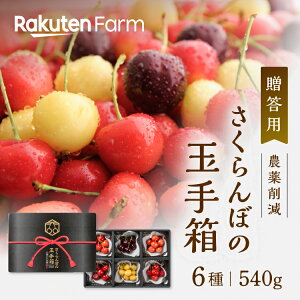 ���i�摜