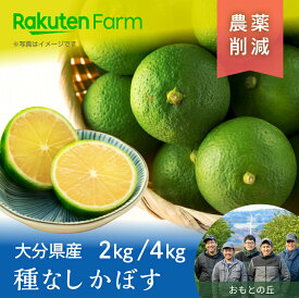 【発送中】大分県産種なしかぼす 約2kgまたは4kgから選べる｜9月上旬～11月下旬頃お届け予定｜おもとの丘　楽天ファームこだわり農家直送