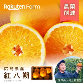 【受付終了】広島県産紅八朔(べにはっさく) 約2kg/5kgから選べる ★2月上旬～4月上旬頃お届け予定★ 甘酸っぱさとほんのりビター感が美味しいみかん 楽天ファーム こだわり農家直送　瀬戸内大崎上島農園