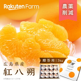 【受付終了】広島県産紅八朔(べにはっさく) 贈答用 約3kg ★2月上旬～4月上旬頃お届け予定★ 甘酸っぱさとほんのりビター感が美味しいみかん 1玉ずつ個包装＆化粧箱でお届け こだわり農家直送　瀬戸内大崎上島農園