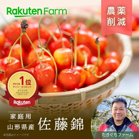 【受付終了】山形県産 朝採り佐藤錦 たっぷり900g【ご家庭用】さくらんぼ◆たきぐちファーム◆6月中旬～7月上旬頃まで出荷予定◆デイリー1位◆収穫当日にクール便で発送◆農薬削減◆楽天ファームこだわり農家直送◆旬のフルーツ