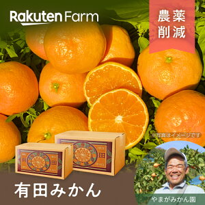 【発送中】完熟有田みかん約3kgまたは5kgから選べる|10月上旬〜1月下旬頃お届け予定|サイズ大小ミックス・極早生早生中生晩生みかん|やまがみかん園 楽天ファームこだわり農家直送