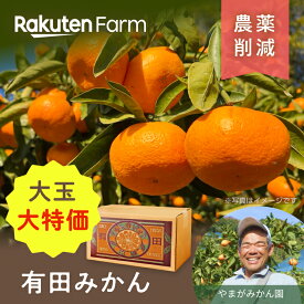 【大玉2L3L限定大特価】有田みかん5kg｜現在発送中～2月上旬頃までお届け予定｜やまがみかん園　楽天ファームこだわり農家直送
