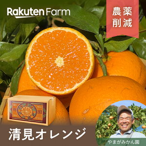 y\zLc̊nIW 3kg܂5kgIׂb2{`4{͂\b܂݂񉀁@yVt@[_ƒ