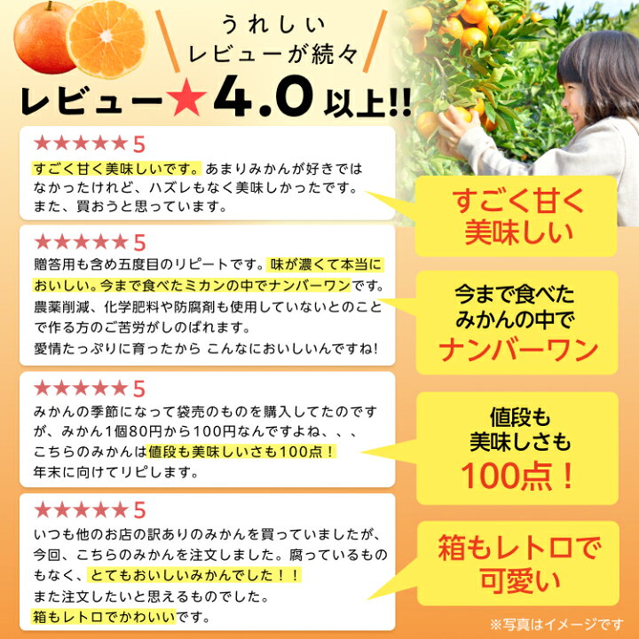 楽天市場】【発送中】完熟有田みかん約3kg/5kg(サイズ大小ミックス 