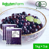 楽天市場】ブルーベリー 5kgの通販