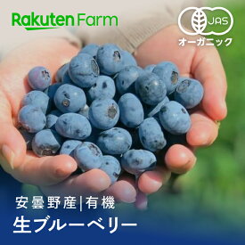 【予約】国産有機生ブルーベリー500gまたは1kg｜長野県産オーガニックブルーベリー・化学合成農薬不使用｜8月上旬〜9月中旬頃発送予定｜幸せフルーツ工房　楽天ファームこだわり農家直送｜7月おすすめ