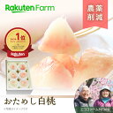 【ポイント3倍！7/11 1:59まで】【予約】農薬50％削減の岡山白桃 1.5kg(5〜6玉) ★7月上旬〜下旬頃お届け予定★ 品種おまかせのお試しタイプ 特別栽培農産物・ネオニコフリー エコファームMITANI　楽天ファームこだわり農家直送