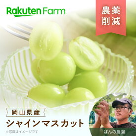 【受付終了】岡山県産シャインマスカット 480g/850g/1.8kgから選べる｜9月上旬〜下旬頃お届け予定｜ばんの農園　楽天ファームこだわり農家直送