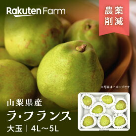 【発送中】山梨県産ラ・フランス 約2kgまたは3kgから選べる｜大玉4L〜5Lサイズ ｜10月上旬〜11月下旬頃お届け予定｜岩原果樹園　楽天ファームこだわり農家直送