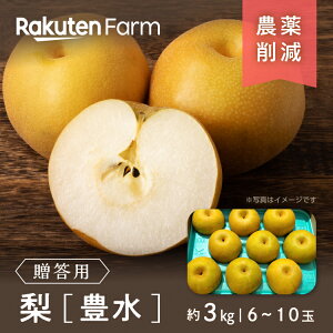 yz쌧{̖L 3kg(p/6`10ʒx) 9{`{͂\聚 ܔ_@yVt@[_ƒ