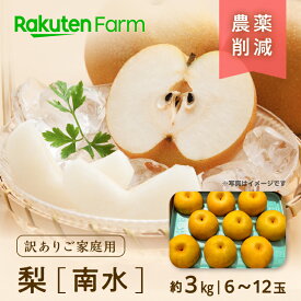 【発送中】長野県須坂の"訳あり”南水 約3kg(家庭用/6〜12玉程度)｜9月中旬〜11月下旬頃お届け予定｜こやま農園　楽天ファームこだわり農家直送