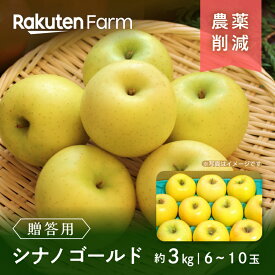 【発送中】長野県産りんご”シナノゴールド 約3kg(贈答用/6〜10玉程度) ｜11月上旬〜12月中旬頃お届け予定｜こやま農園　楽天ファームこだわり農家直送