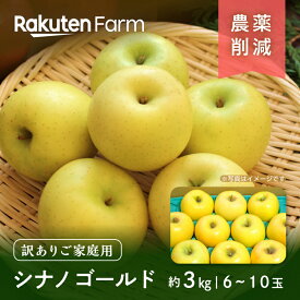 【発送中】長野県産りんご”訳あり”シナノゴールド 約3kg(家庭用/6〜10玉程度) ｜11月上旬〜12月中旬頃お届け予定｜こやま農園　楽天ファームこだわり農家直送