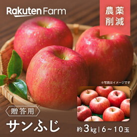 【予約】長野県産りんご”サンふじ” 約3kg(贈答用/6〜10玉程度) ｜12月上旬〜3月下旬頃お届け予定｜こやま農園　楽天ファームこだわり農家直送