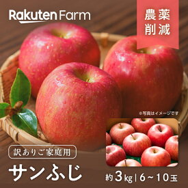 【予約】長野県産りんご”訳あり”サンふじ 約3kg(家庭用/6〜10玉程度)｜12月上旬〜3月下旬頃お届け予定｜こやま農園　楽天ファームこだわり農家直送